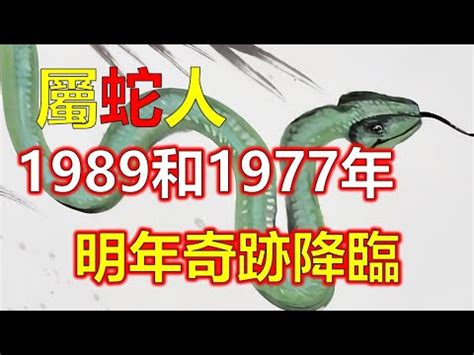 1989 屬蛇|1989年生肖蛇的是什么命 89年的属蛇人一生命运分析